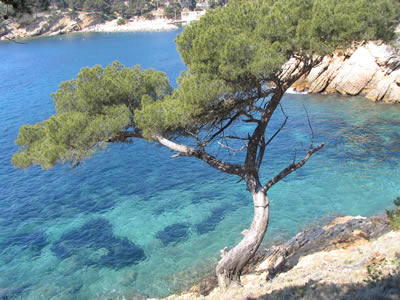 Côte Bleue