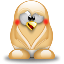 rob1desboas